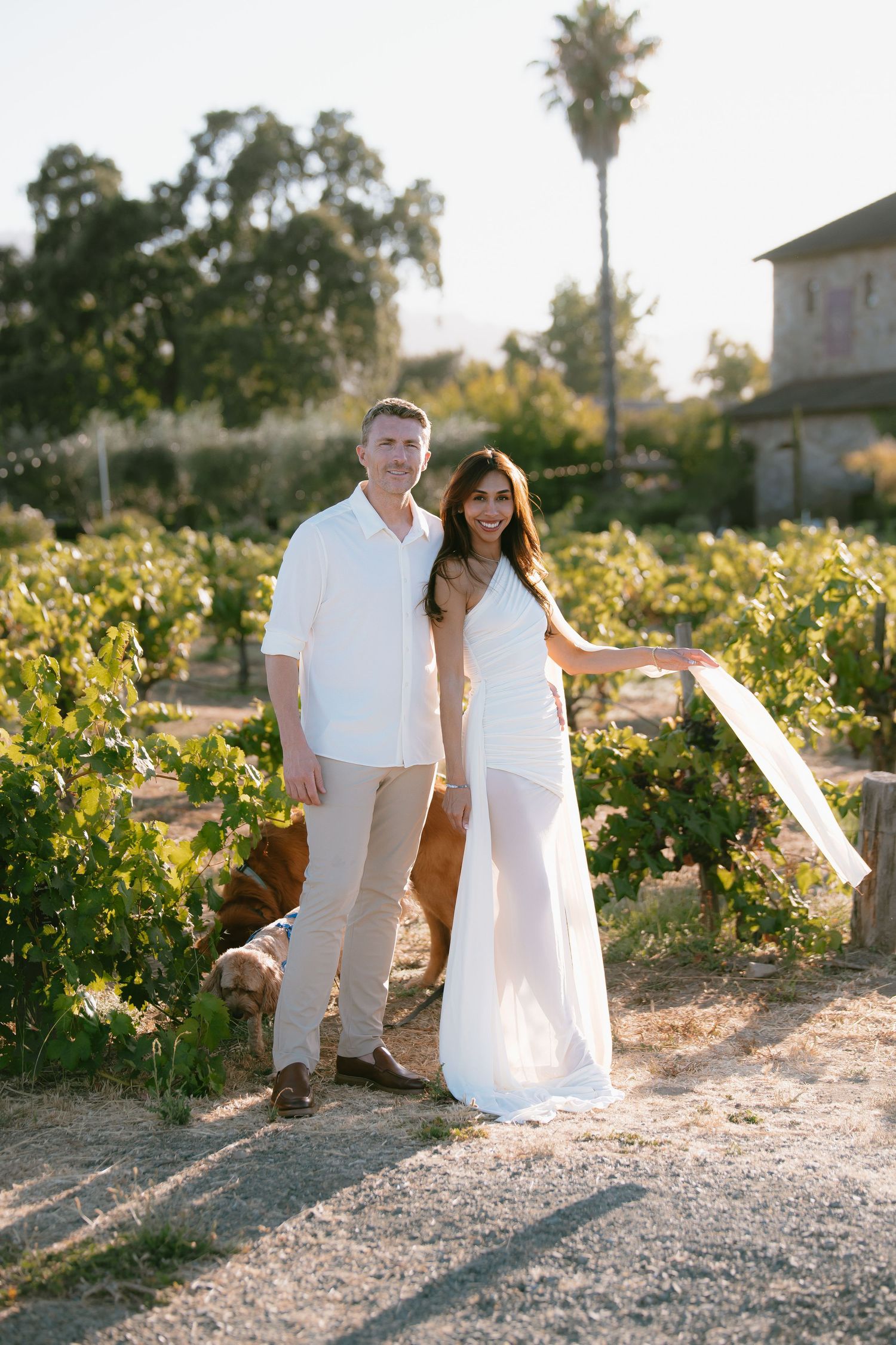 Couple posing in a sunlit vineyard, woman in white dress, man in white shirt, with a dog among lush green vines.