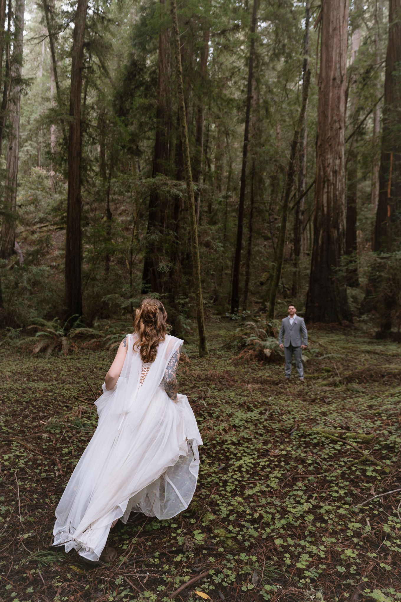Bride in white lace gown walks toward groom in gray suit during forest wedding among towering redwood trees.