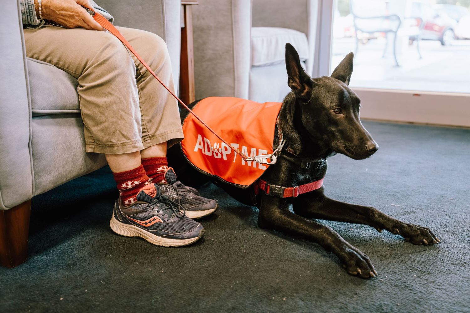 Black dog wearing an orange adoptable vest lying on floor beside person in red socks and sneakers at animal shelter.
