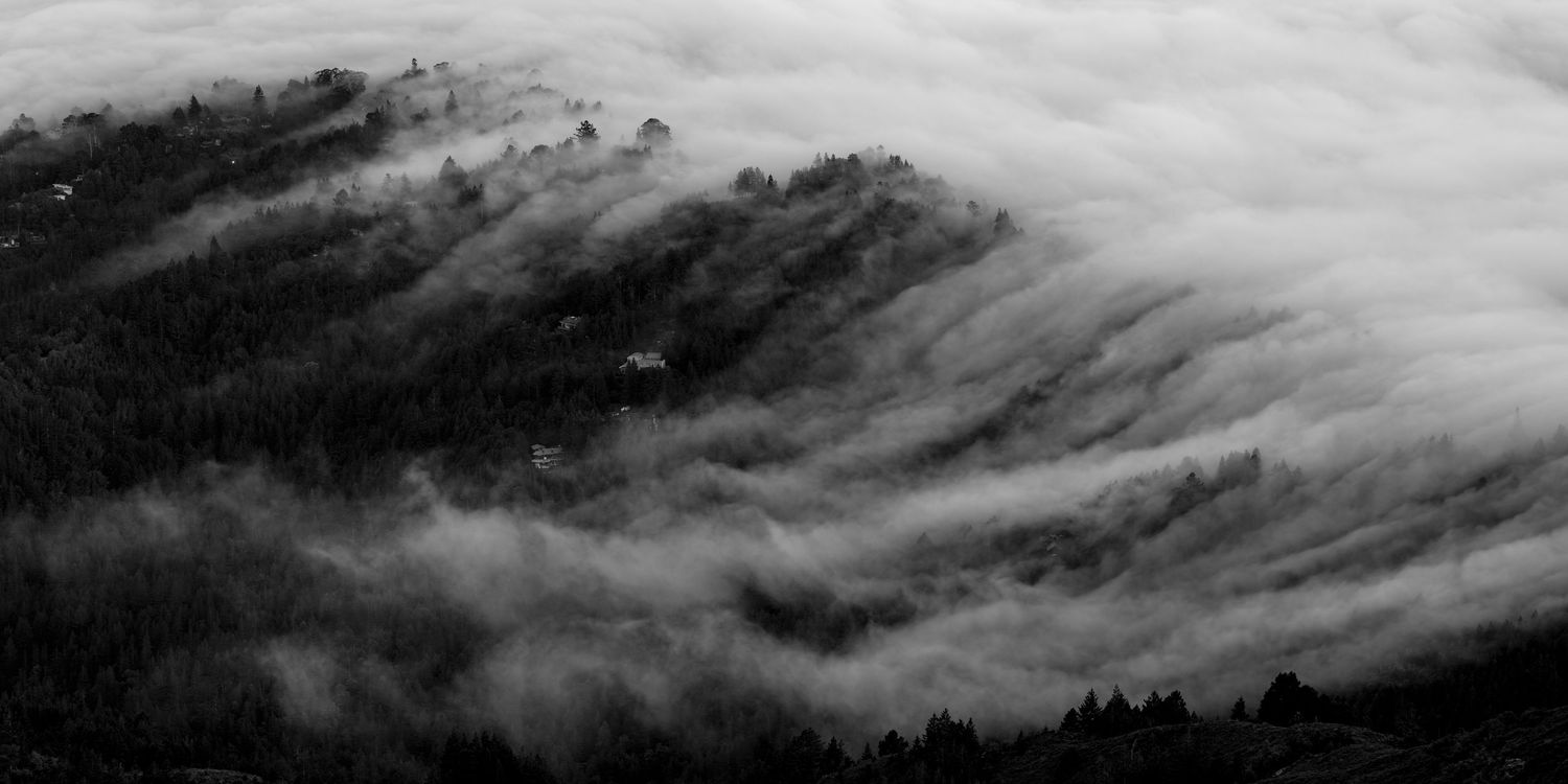 Black and white aerial view of misty fog rolling over dense forested mountain slopes.