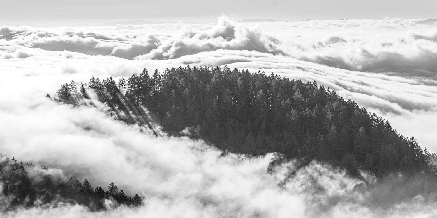 Aerial black and white view of a forested hilltop island emerging above a sea of clouds.