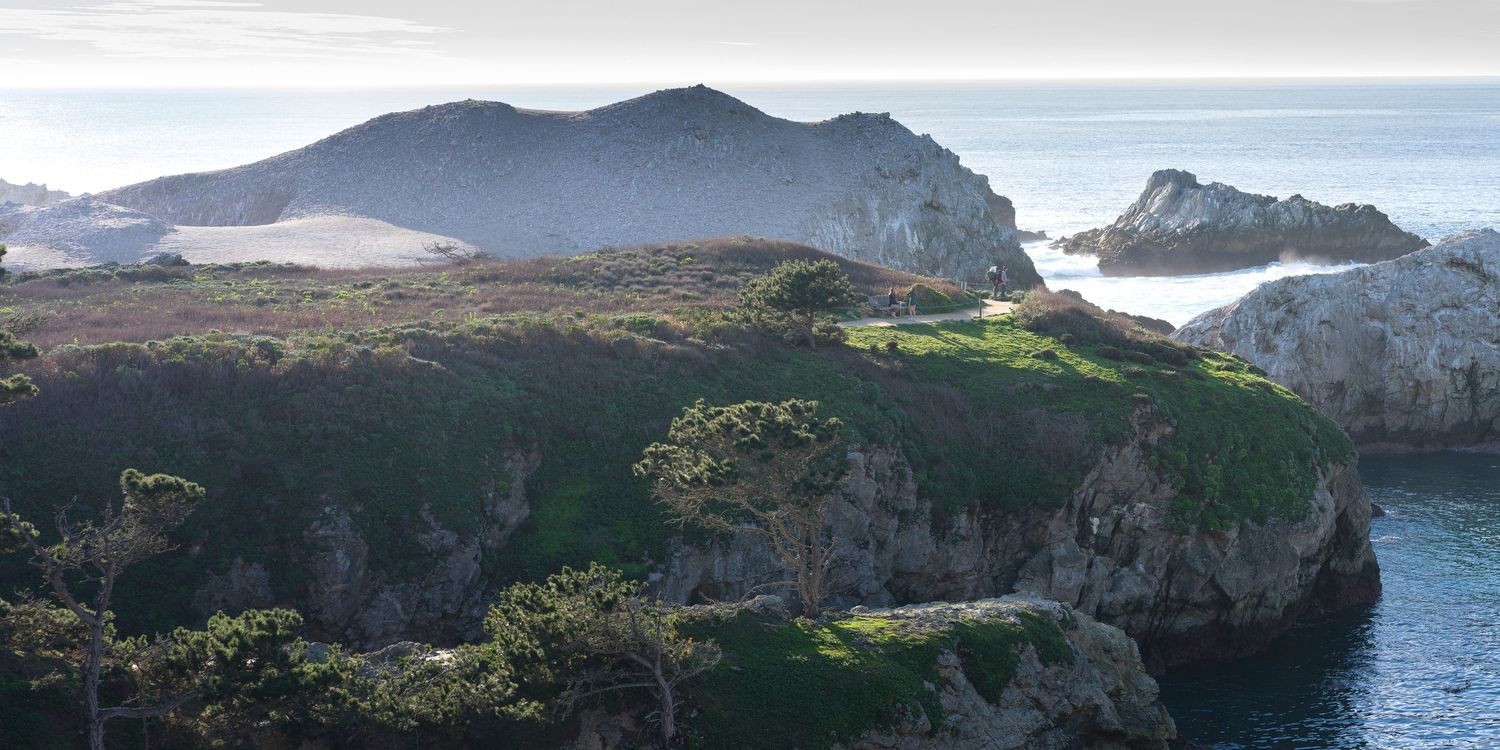 Panoramic view of Point Lobos State Park with dramatic green coastal cliffs and rocky shoreline with calm blue ocean waters below.