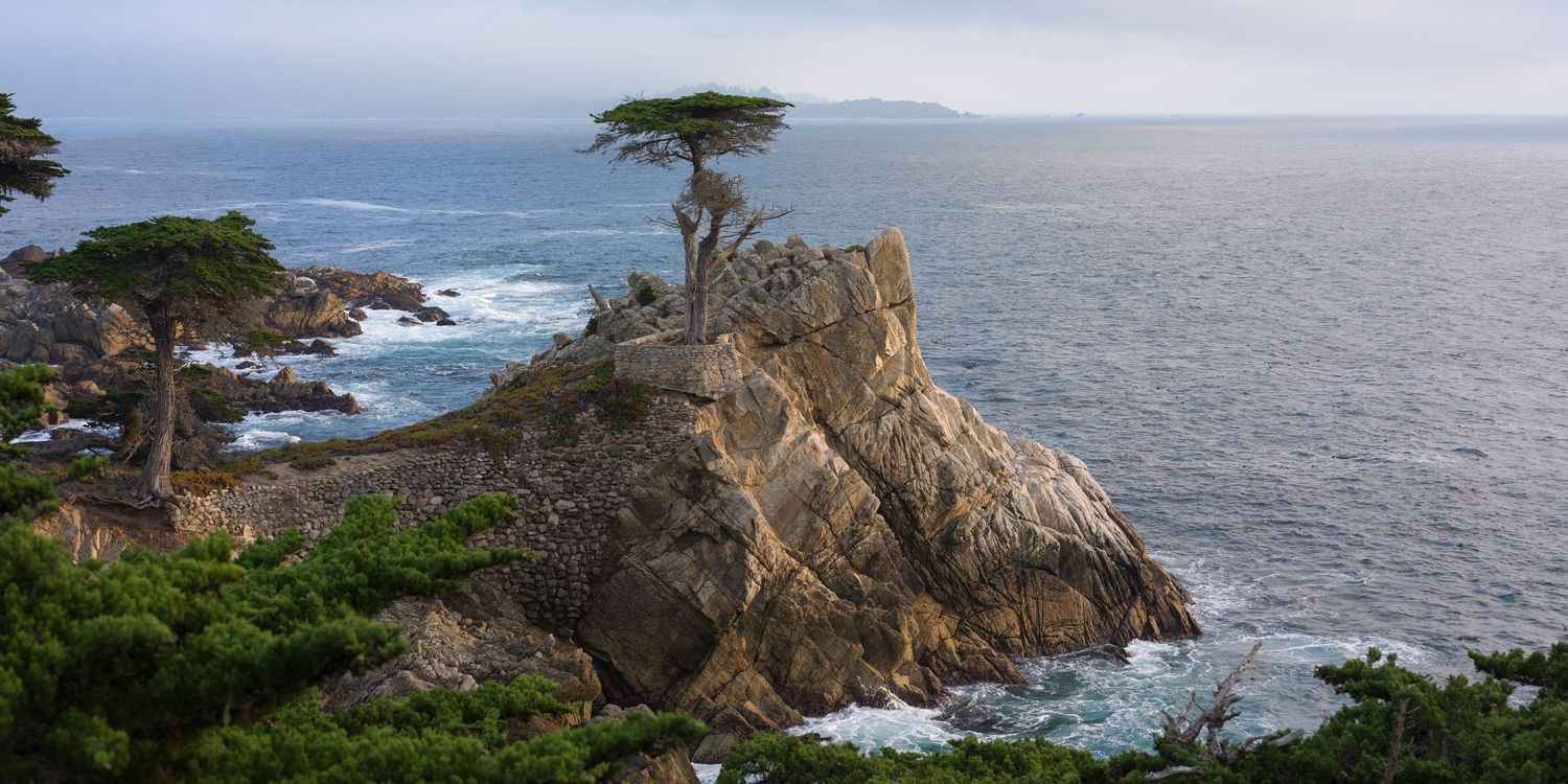 Iconic Lone Cypress tree standing on rugged rocky cliff overlooking the Pacific Ocean in Pebble Beach.