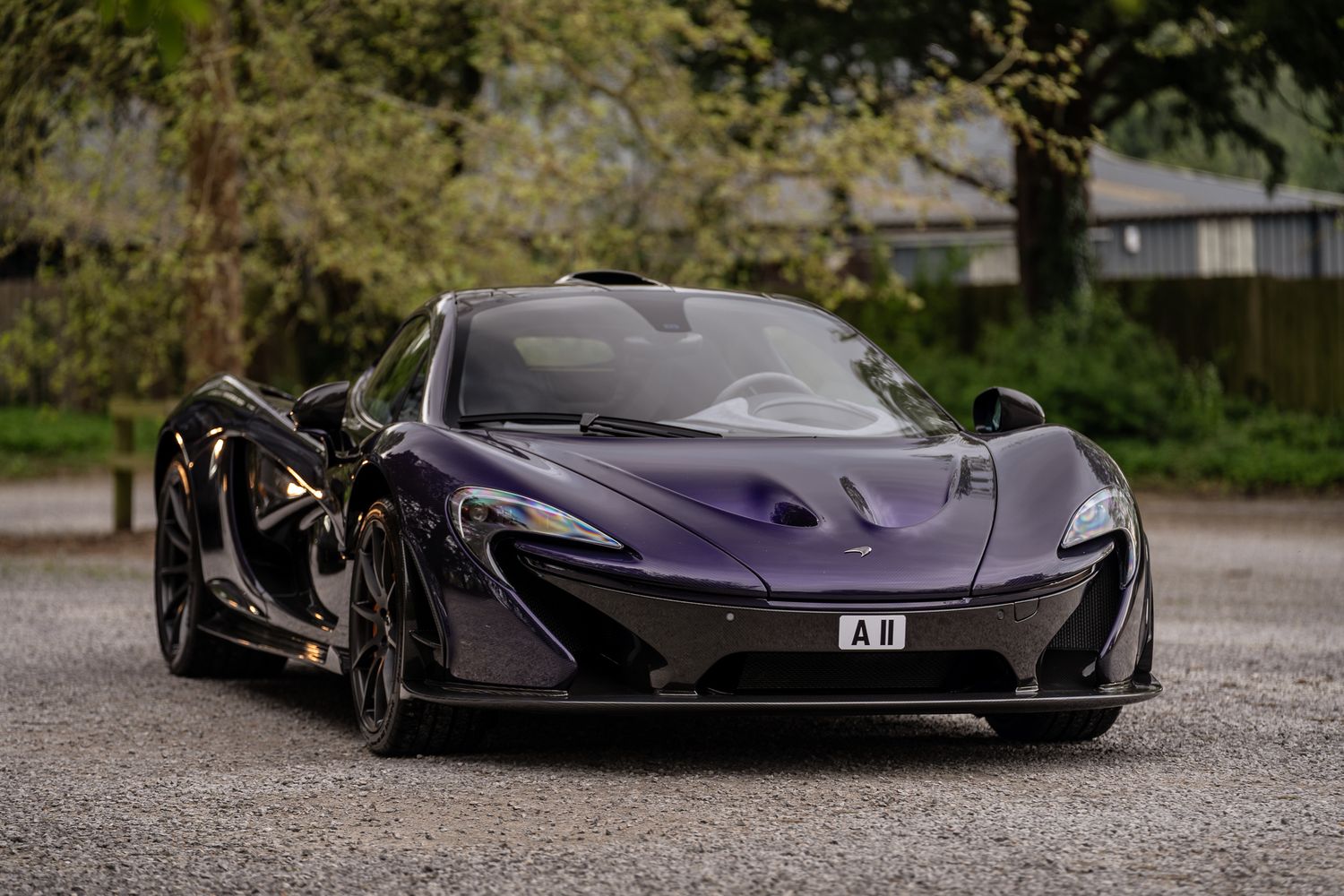 Stunning purple McLaren P1 hypercar parked on gravel surrounded by lush green trees in natural light.