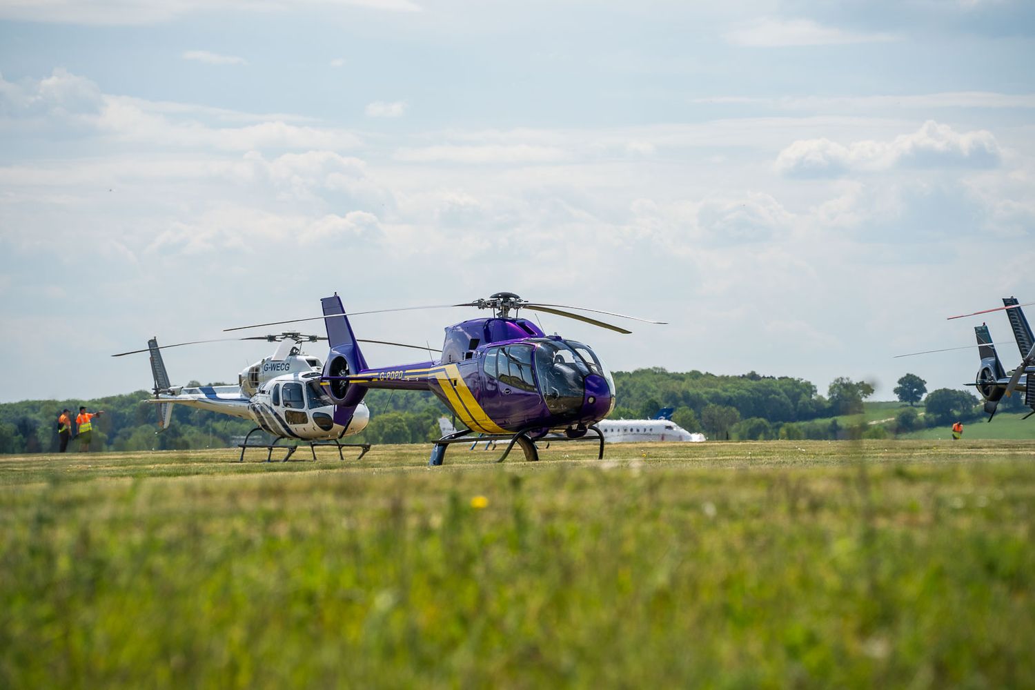 Purple helicopter on a grassy airfield with other helicopters in the background on a cloudy day.