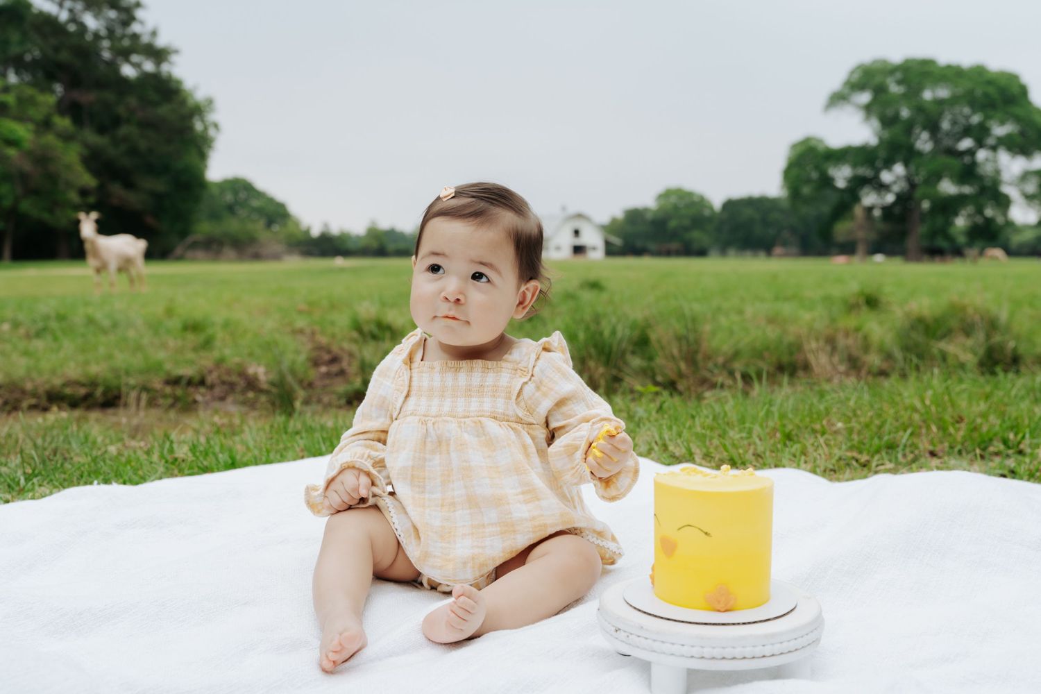 Baby girl in yellow dress sits on white blanket outdoors with birthday smash cake on a sunny day.