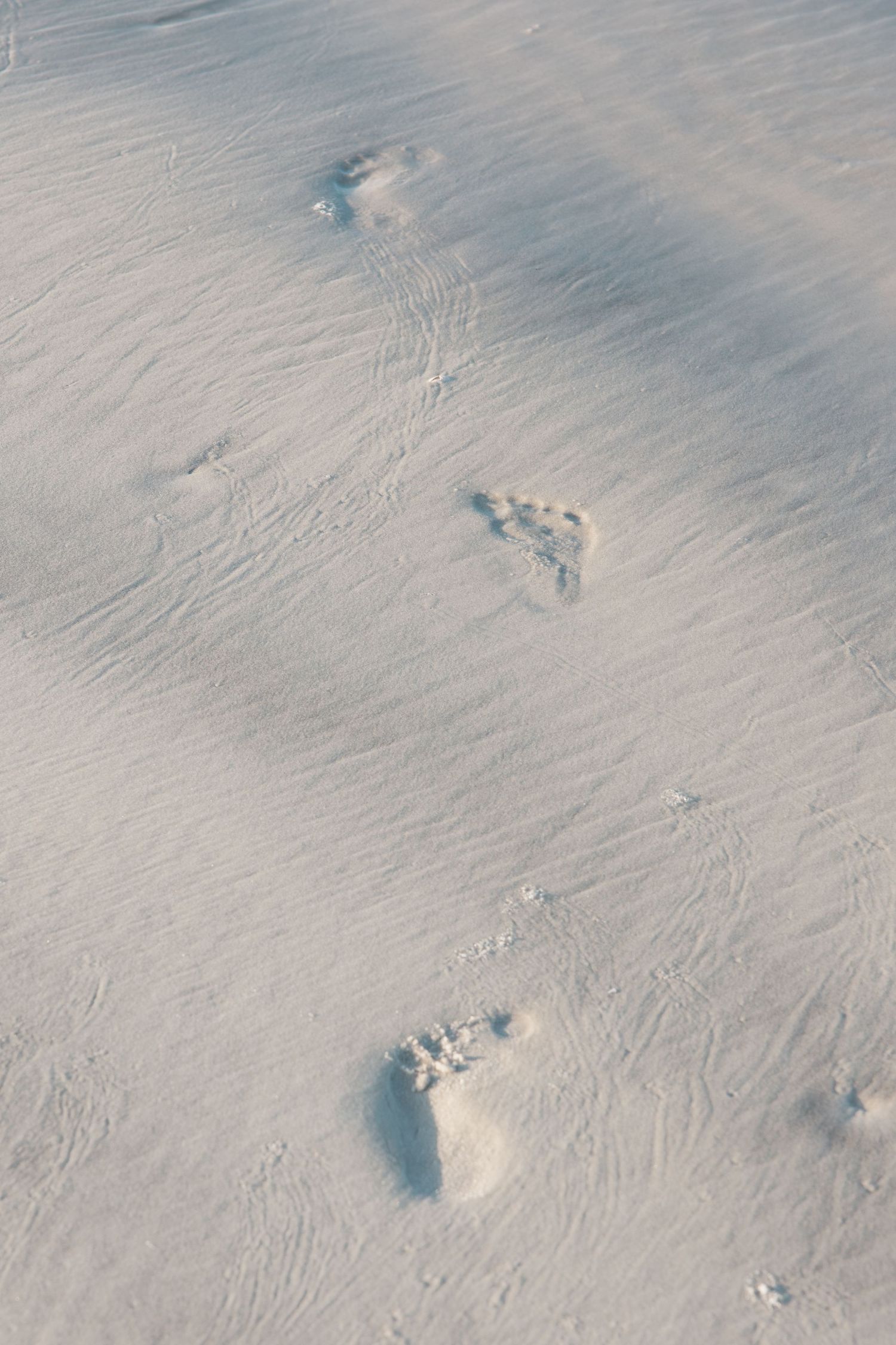 Foot steps on the beach