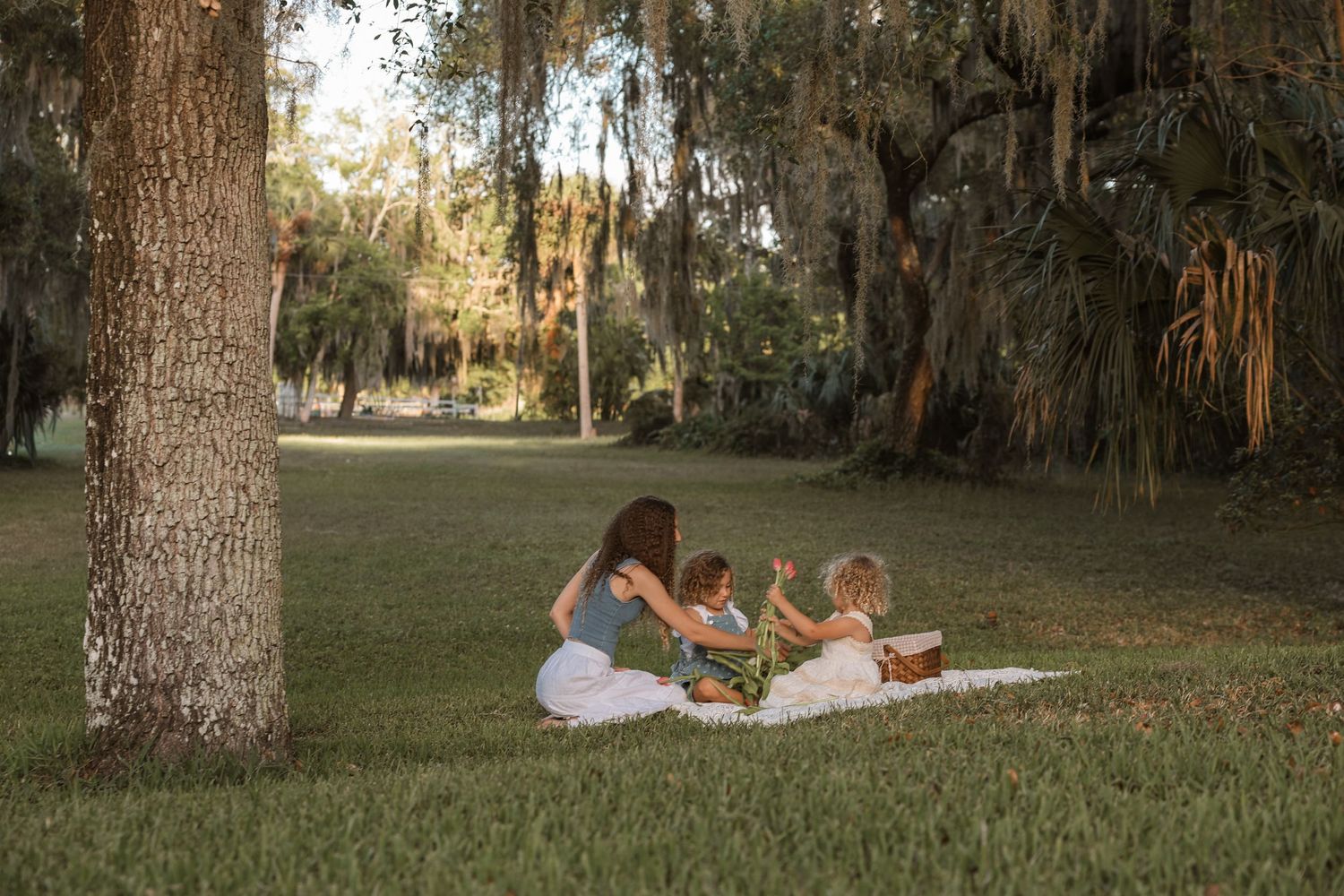 Mother sitting on grass with two young children under Spanish moss trees in park.