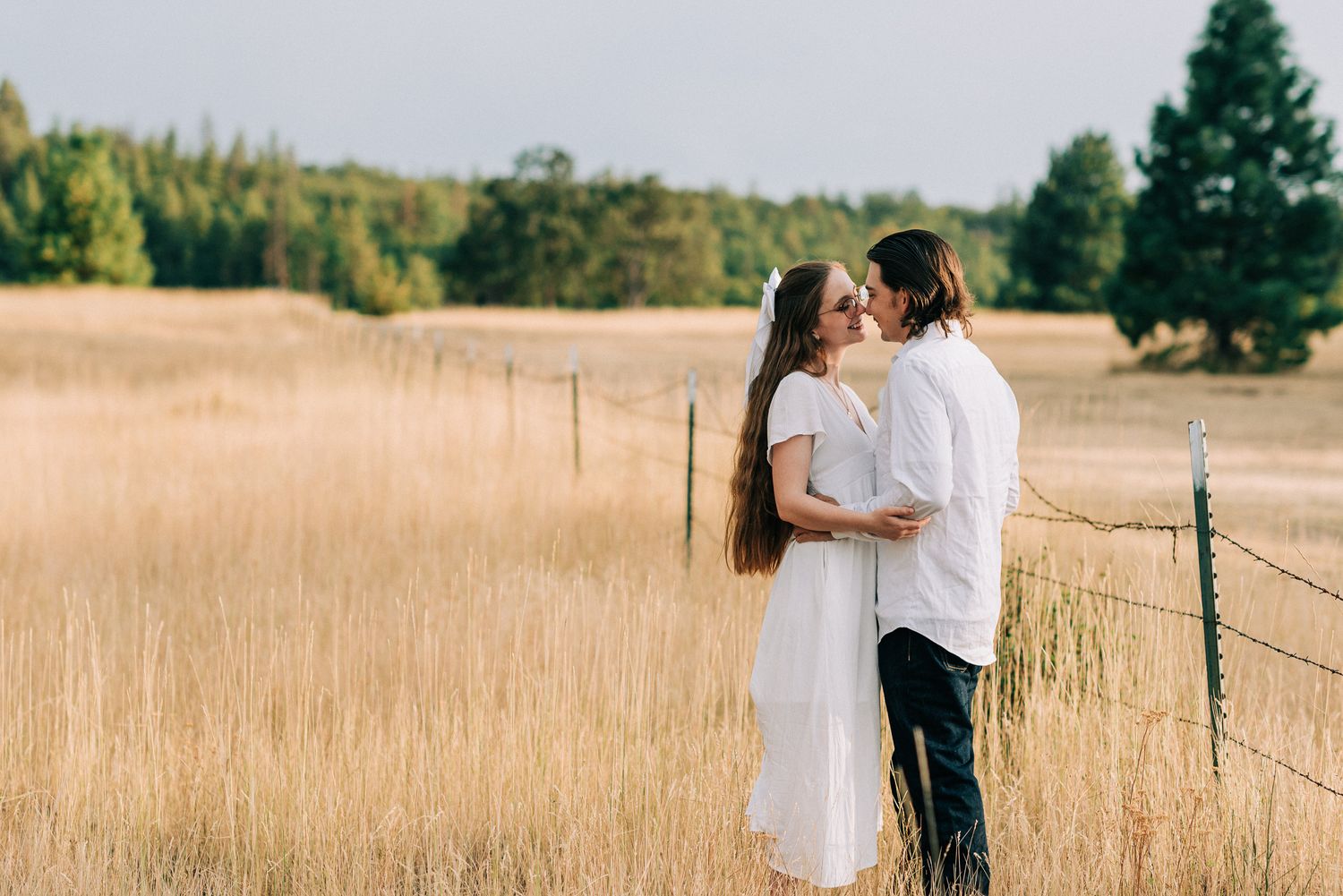 A couple shares a romantic kiss in a golden wheat field beside a rustic fence.