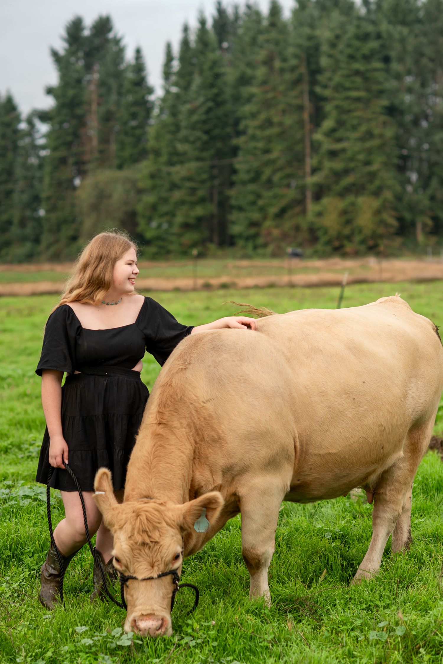 A person in a black dress stands beside a grazing light brown cow in a green field.