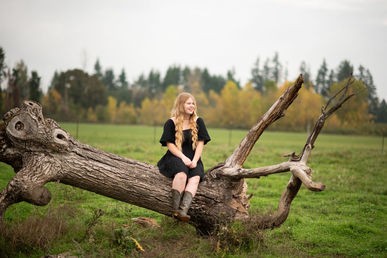 A person in a black dress sits casually on a fallen tree trunk in a grassy field.