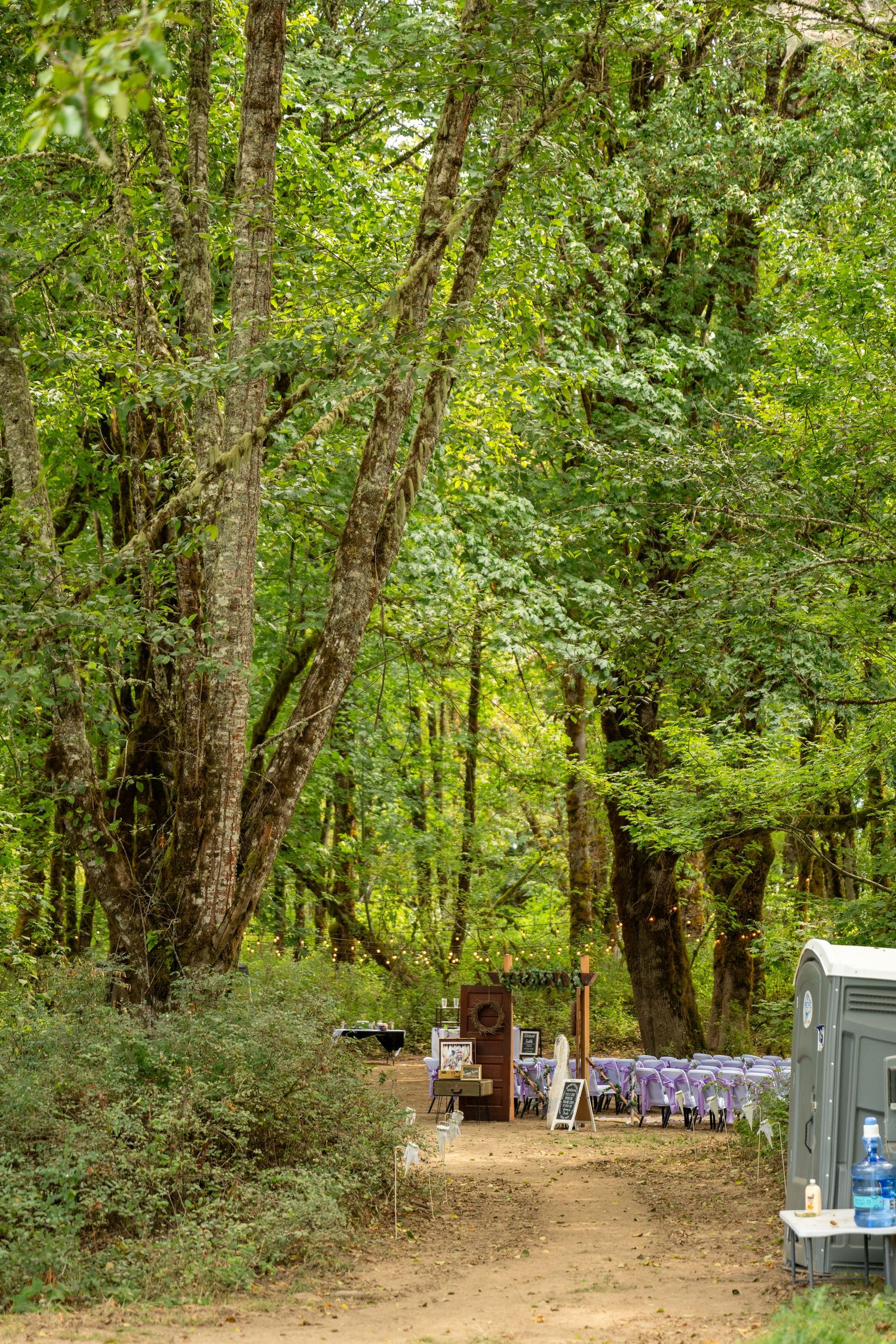 Outdoor wedding setup with purple chairs along a forest path leading to a ceremony area.