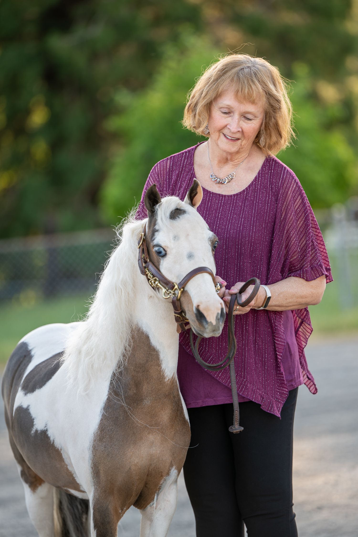 Smiling senior woman in purple top leading a small paint pony on a lead rope outdoors.