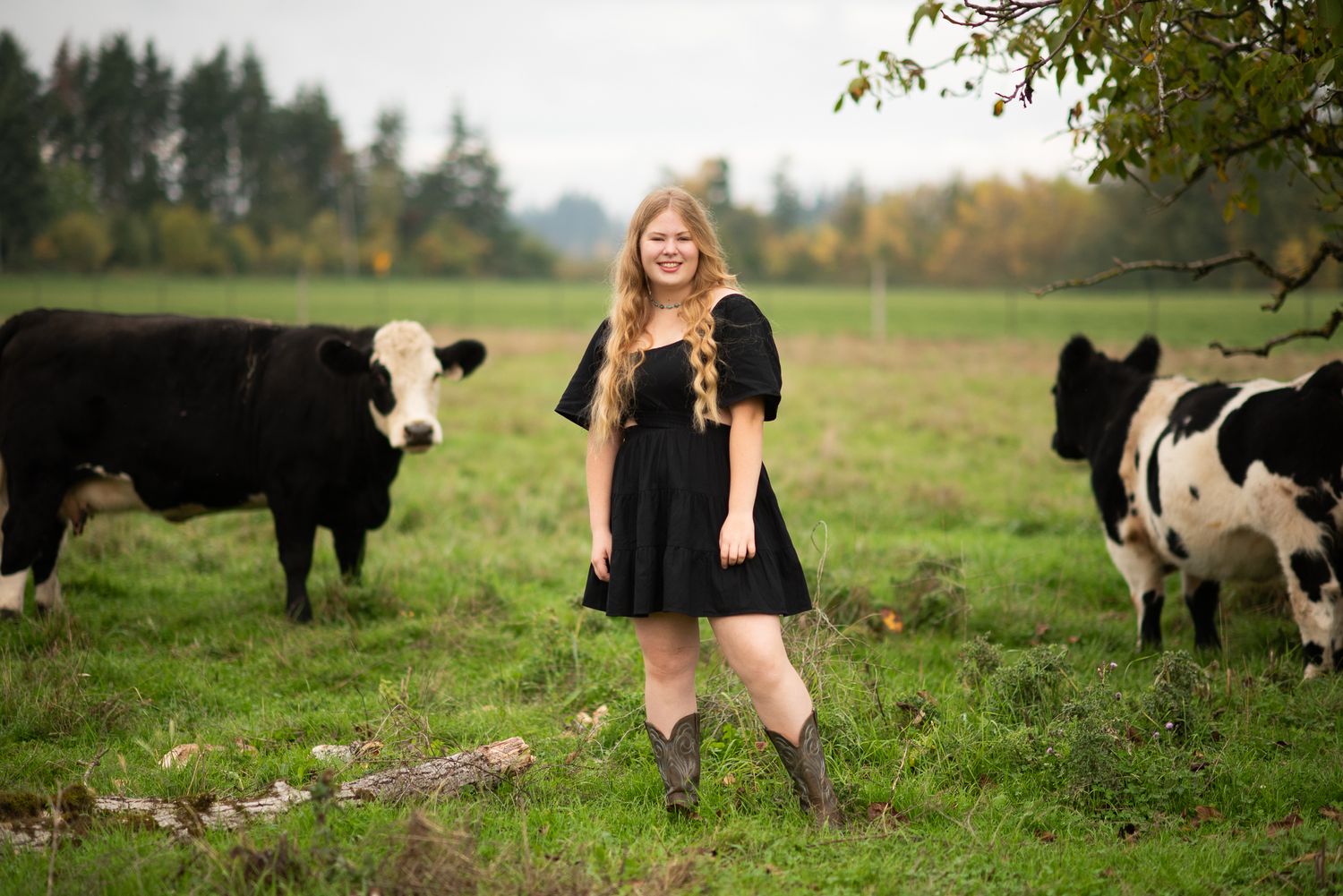 A person in a black dress stands in a field with black and white cows grazing in the background.
