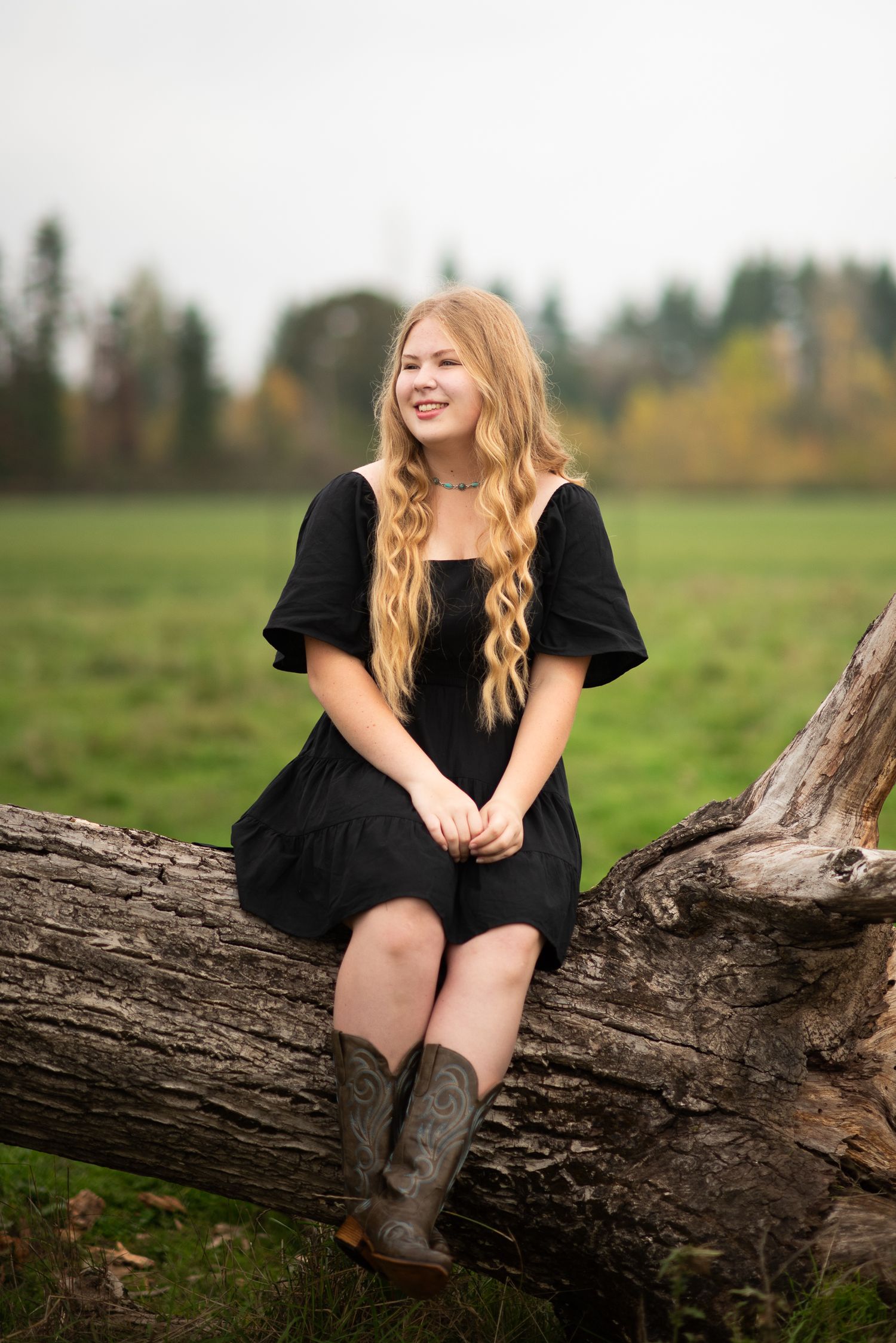 Someone in a black dress sits on a fallen log in a pastoral field setting with autumn trees in background.