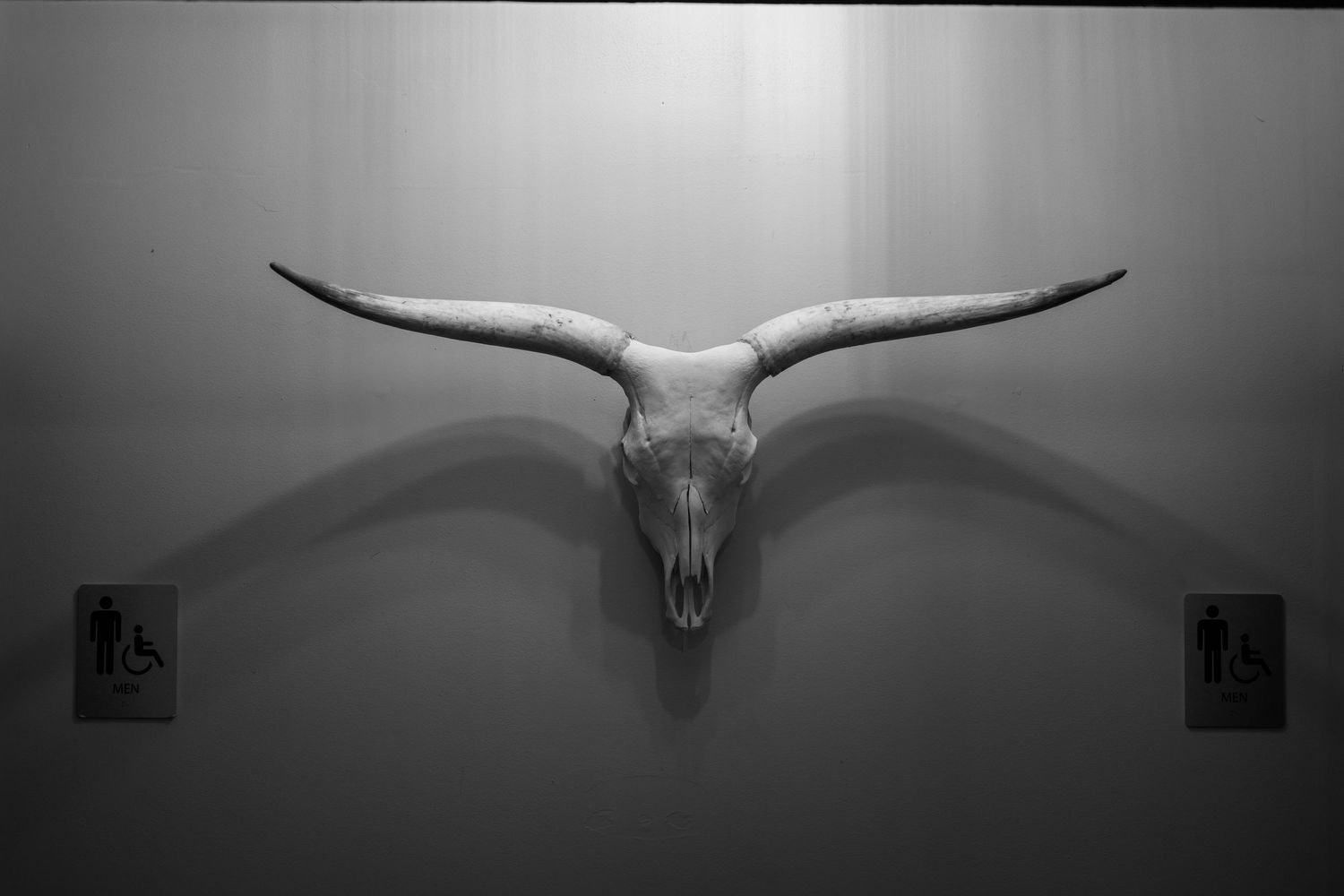 Black and white photo of a longhorn bull skull mounted on a wall between two restroom signs.