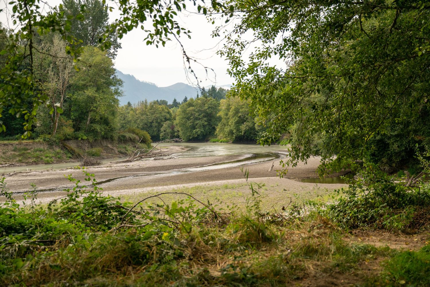 Scenic mountain landscape with trees and a winding river in the background.