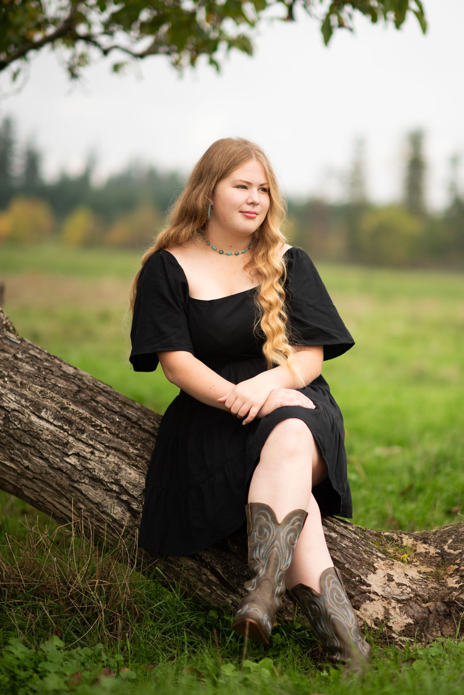 Someone in a black dress and cowboy boots sits casually on a fallen tree trunk in a green field.