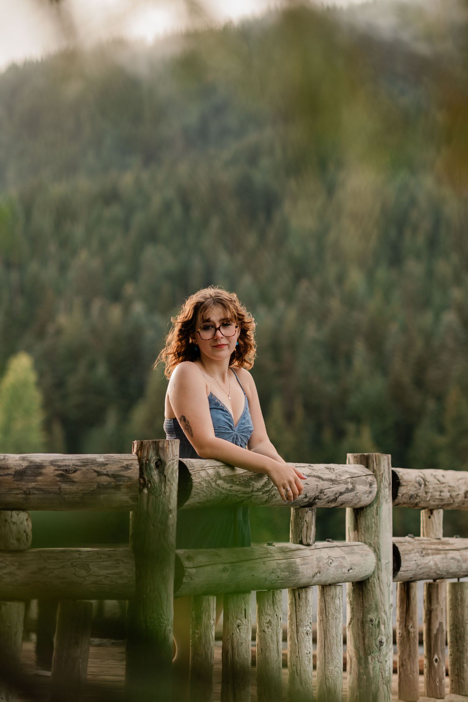 Person in a blue dress leans thoughtfully against a rustic wooden fence with forest scenery in the background.