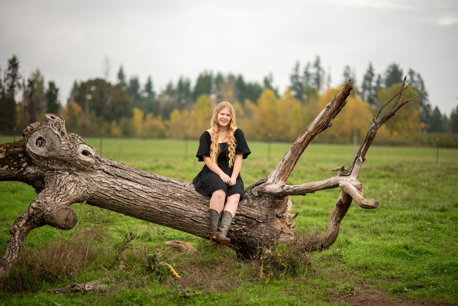 A person in a black dress poses on a large fallen tree trunk in a rural field setting.
