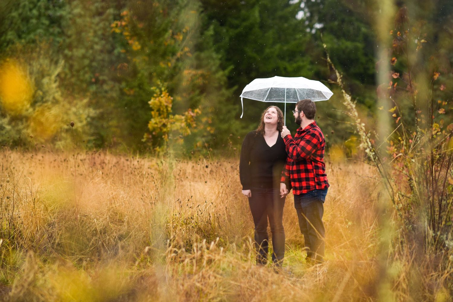 A couple shares an intimate moment under an umbrella in a golden autumn field.