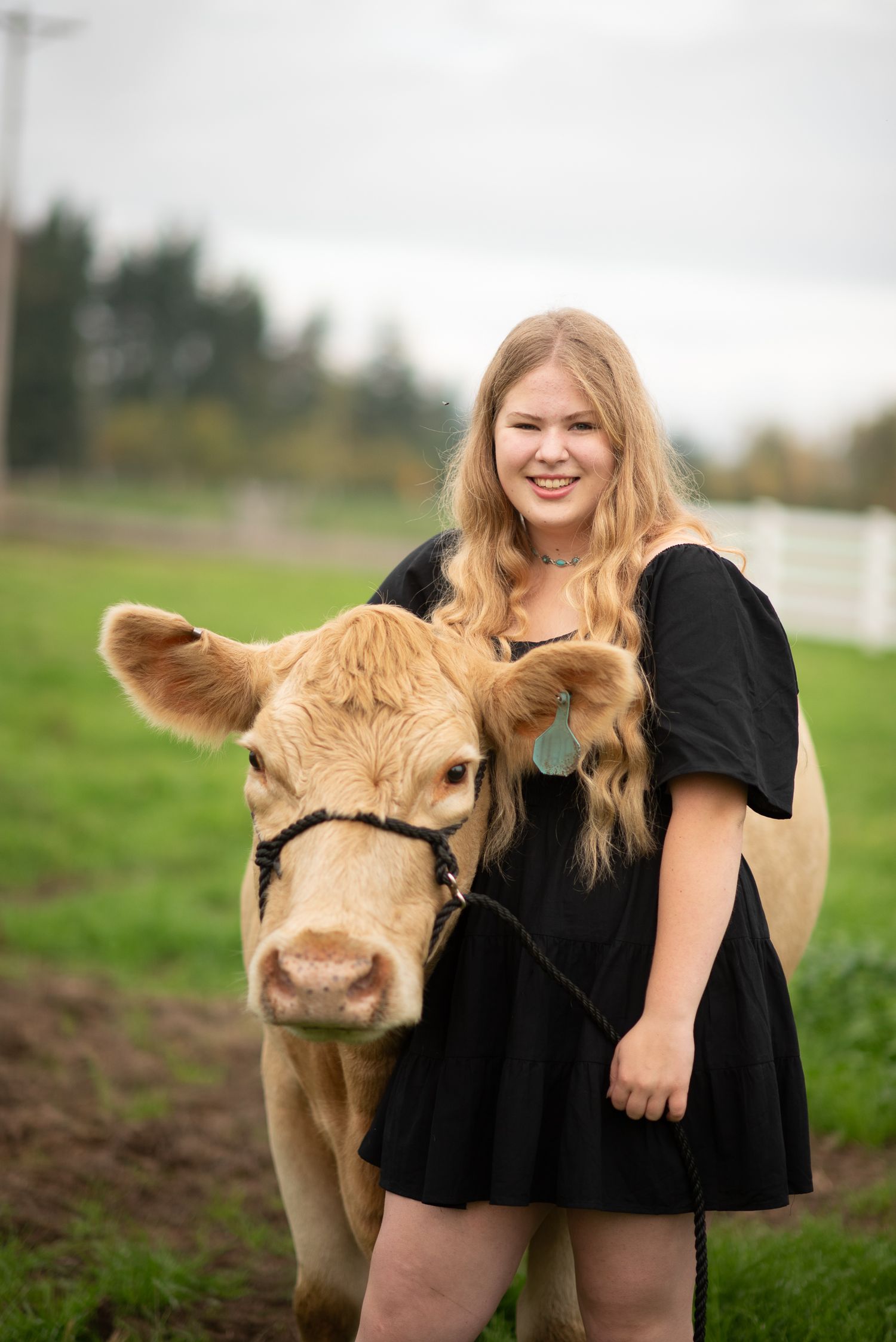Smiling blonde teen in black dress poses with a tan calf wearing a halter on a green farm field.