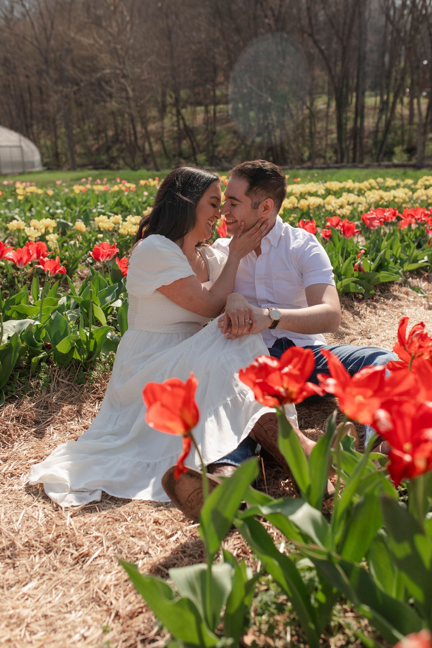 Couple sitting among vibrant red and yellow tulips in a garden, sharing a romantic moment on a sunny spring day.