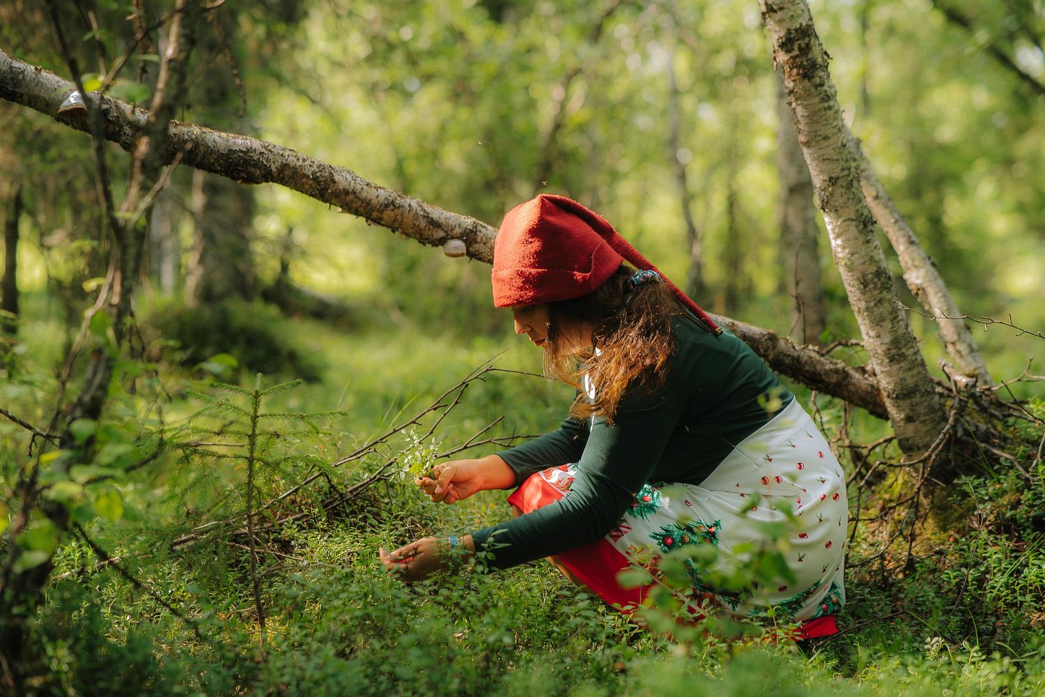Child in red hat picking berries in a lush green forest, crouching among low plants beside a fallen tree.