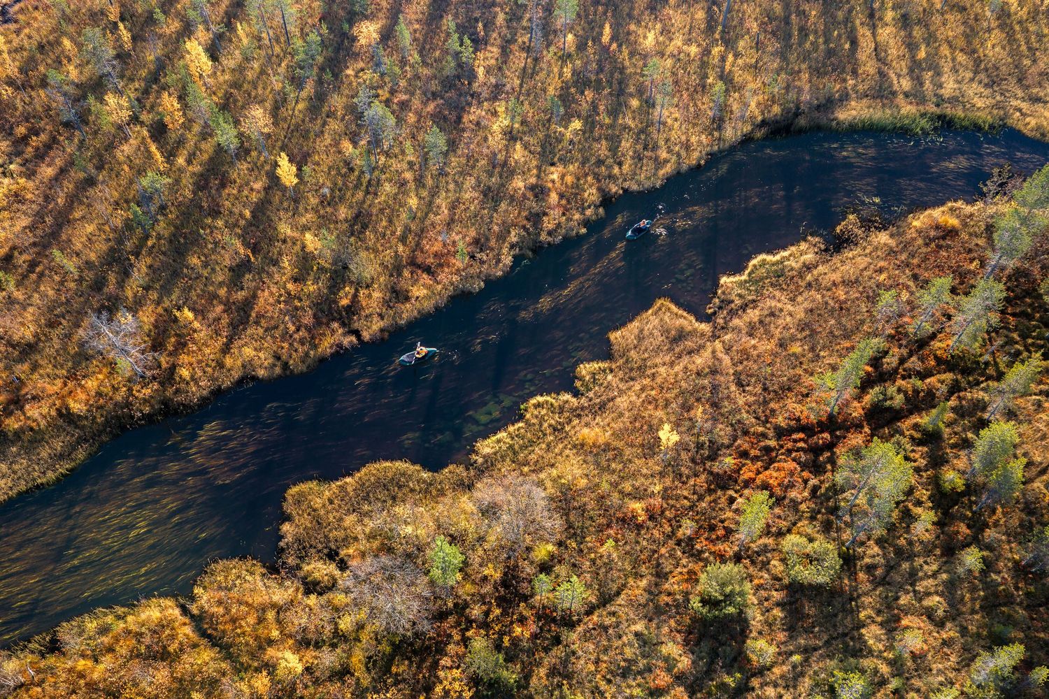 Aerial view of a winding river cutting through dense autumn forest with golden and orange foliage.