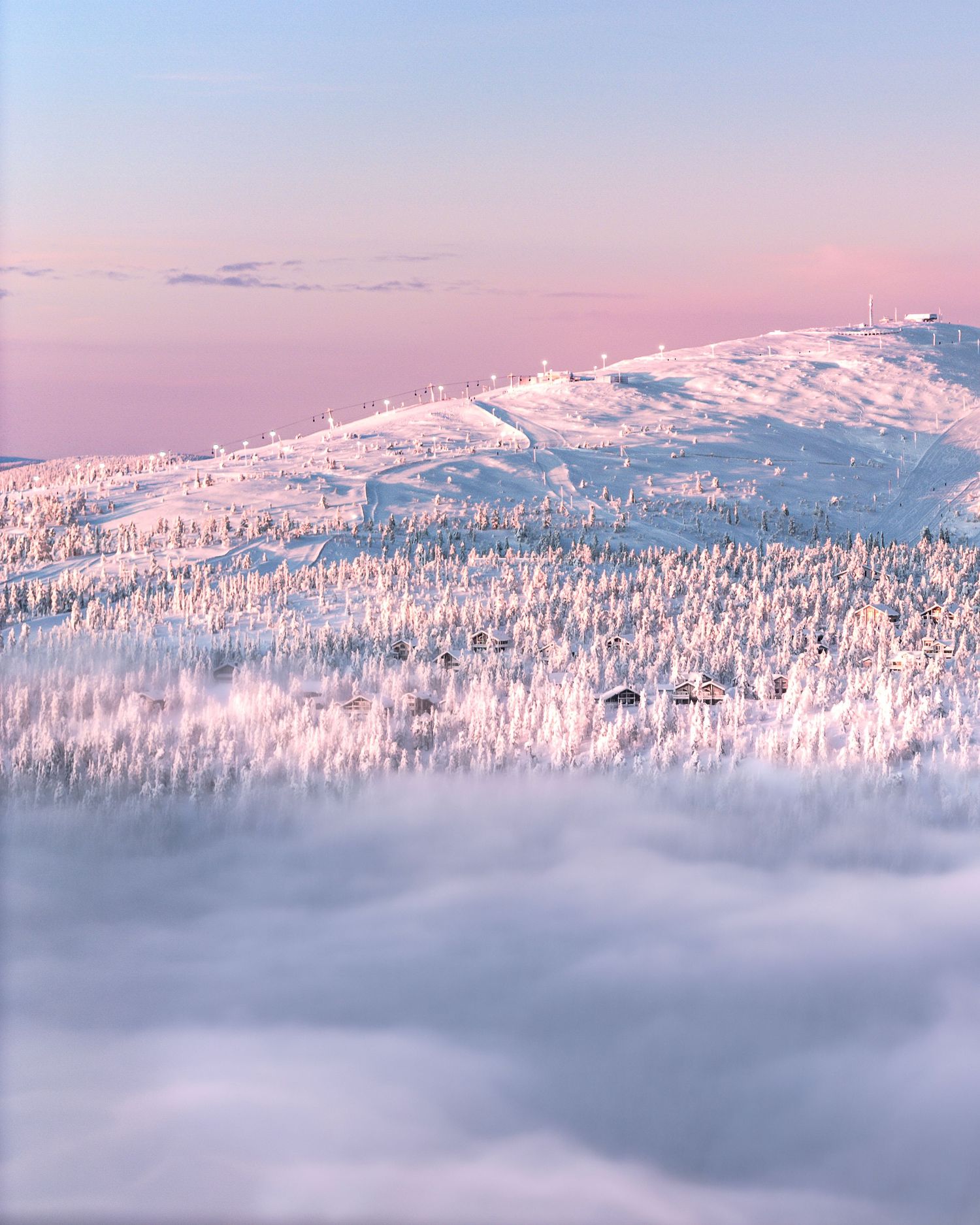 Snow-covered winter landscape with frost-laden trees and a pink pastel sunset sky over a misty mountain summit.