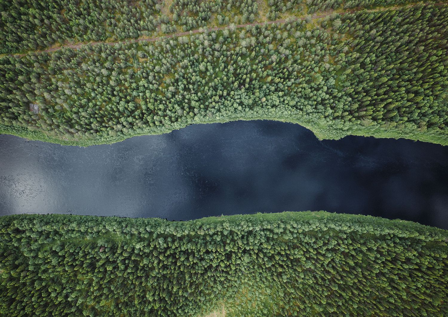 Aerial view of a narrow dark lake surrounded by dense green forest, captured from directly above.