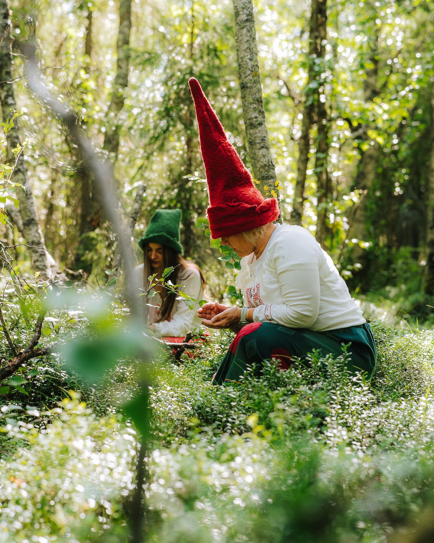 Two people in gnome costumes with pointed hats sit among wildflowers in a sunlit forest.