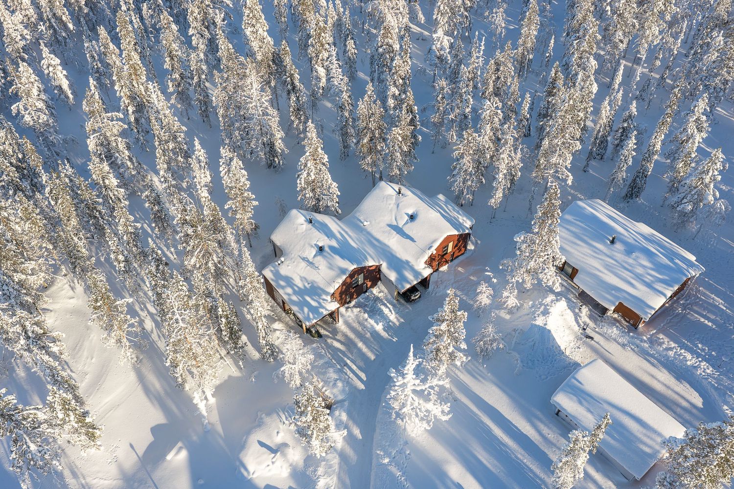 Aerial view of snow-covered wooden cabins nestled among frost-laden pine trees in a pristine winter forest.