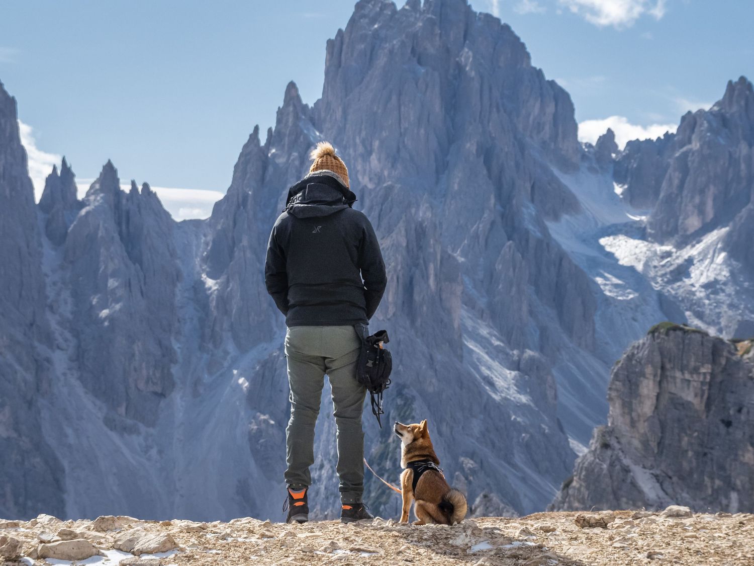 A hiker and their dog stand together admiring dramatic rocky mountain peaks on a sunny day.