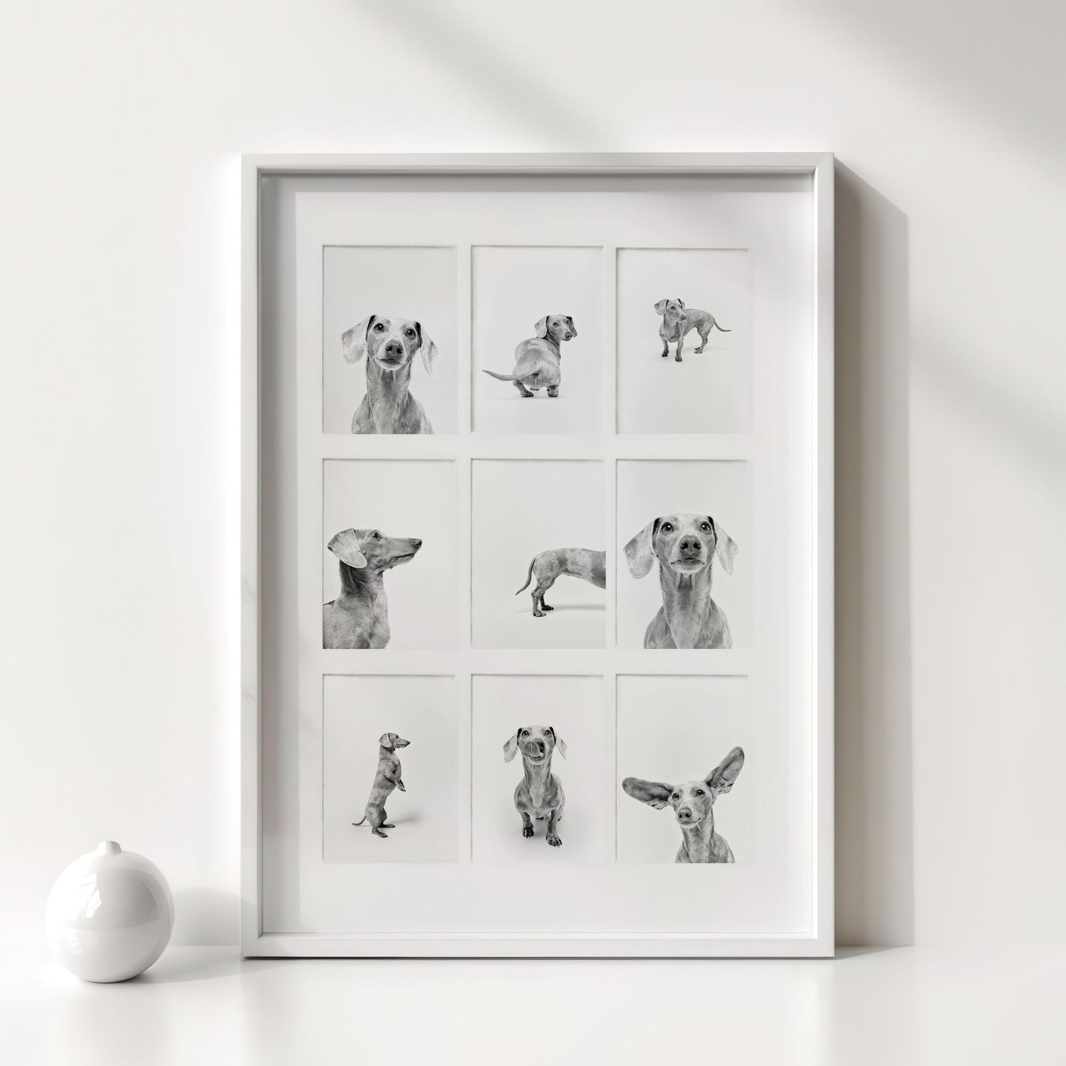 White framed nine-panel collage of black and white dachshund dog art prints on white wall.