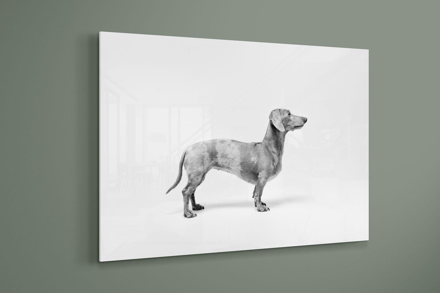 Black and white side profile art print of a dachshund on a glass canvas panel.