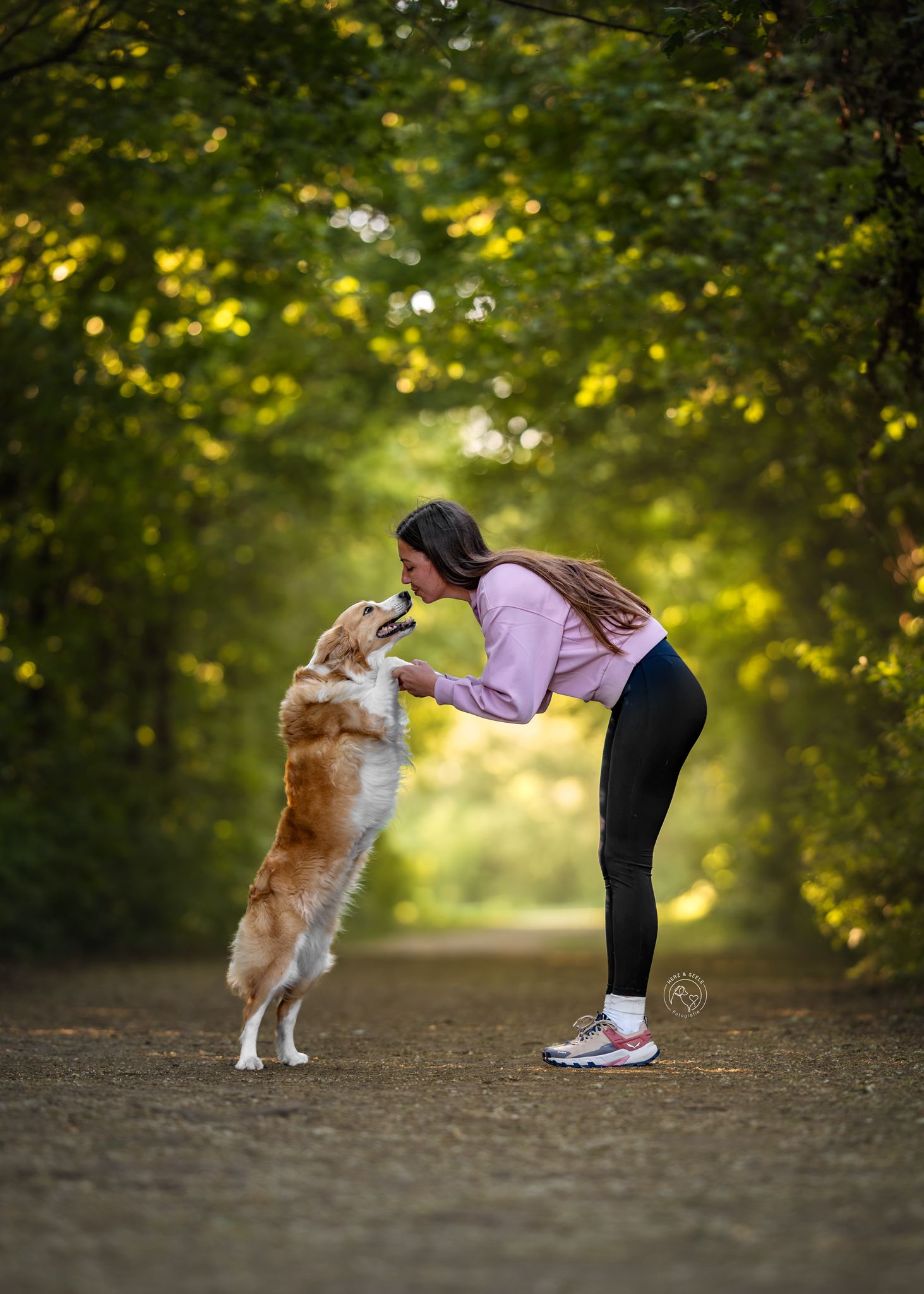 A woman in a pink hoodie interacts with a golden retriever on a tree-lined path in a lush green forest.