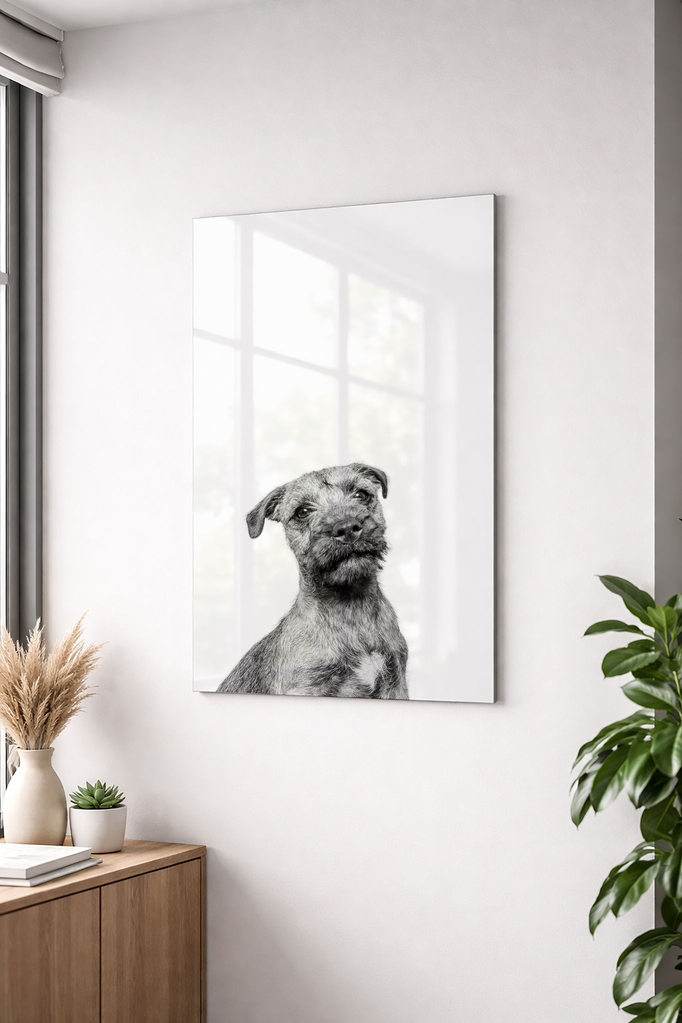 Elegant black and white Border Terrier portrait art print on glass in contemporary interior.