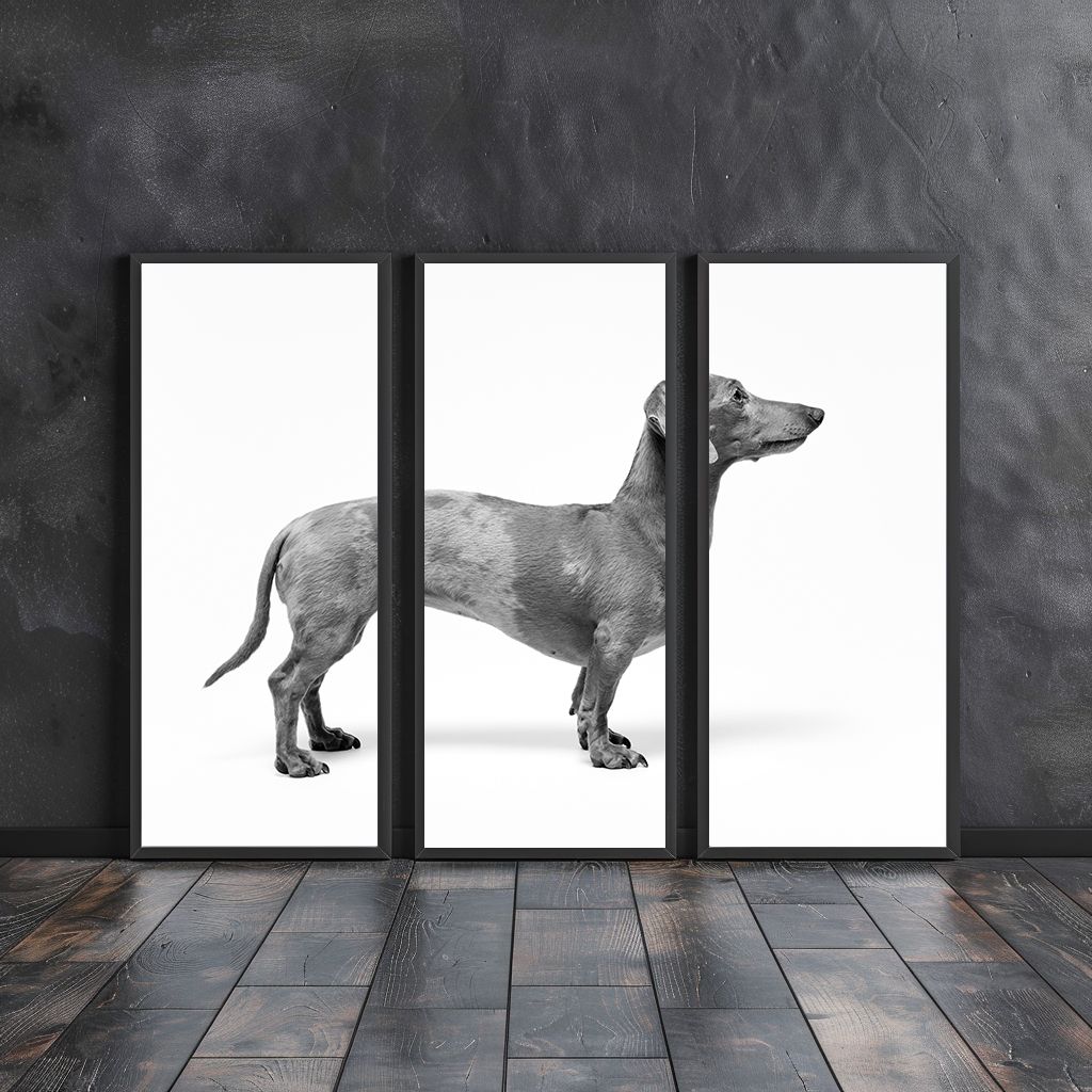 Triptych black and white dachshund dog art print displayed in three black frames on dark wall.