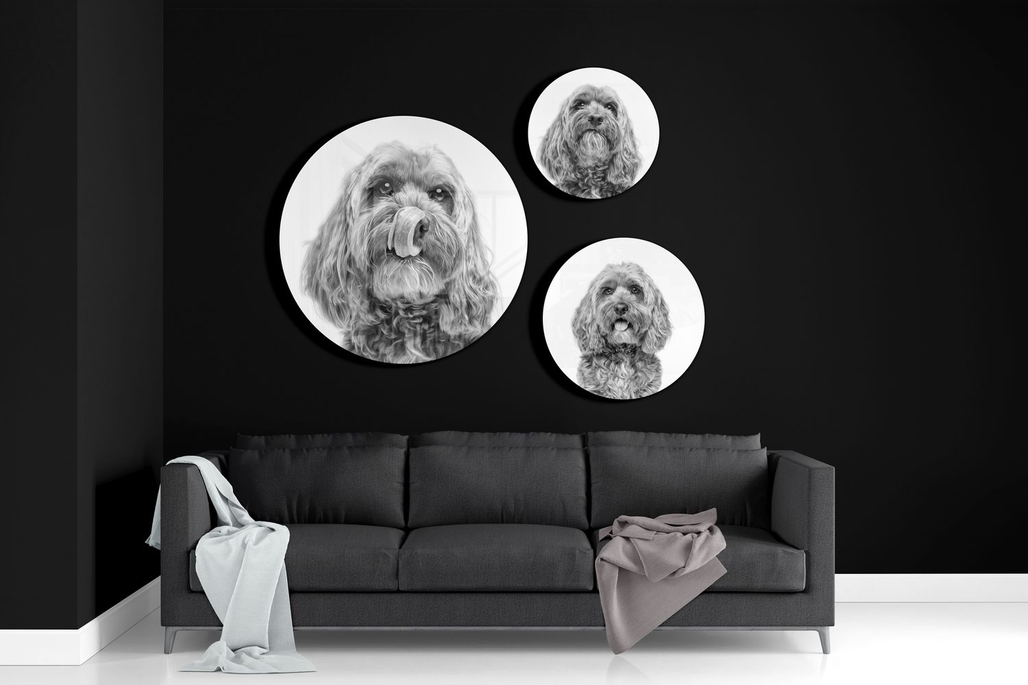 Three circular black and white dog portrait prints displayed on a dark wall above a sofa.