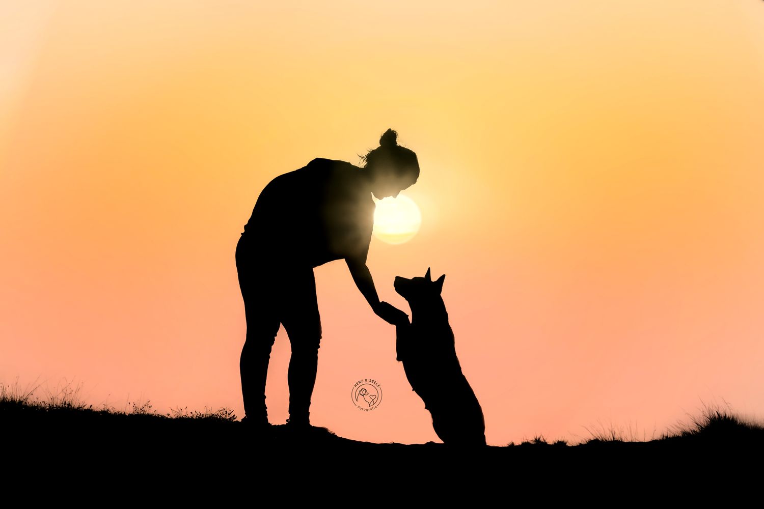 Silhouette of a woman and dog sharing a tender moment at golden sunset.