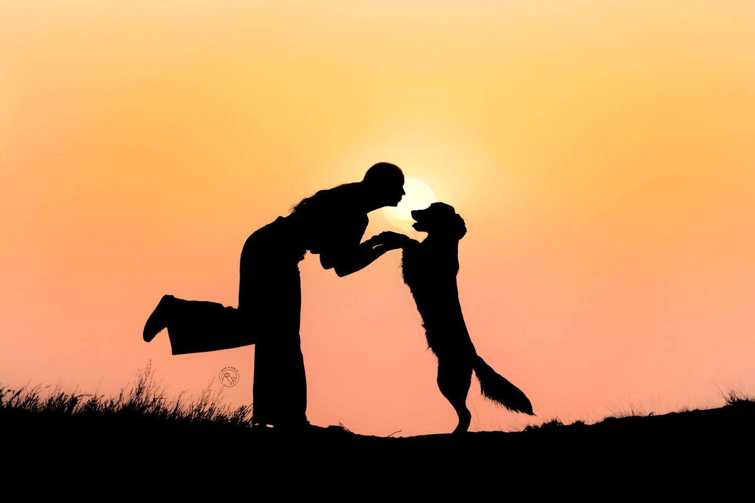 Silhouette of person and dog sharing a tender moment at sunset against a warm orange sky.