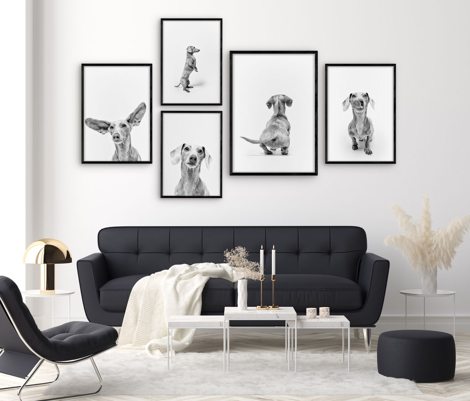 Set of five black and white dachshund art prints in black frames displayed above a dark sofa in a modern living room.