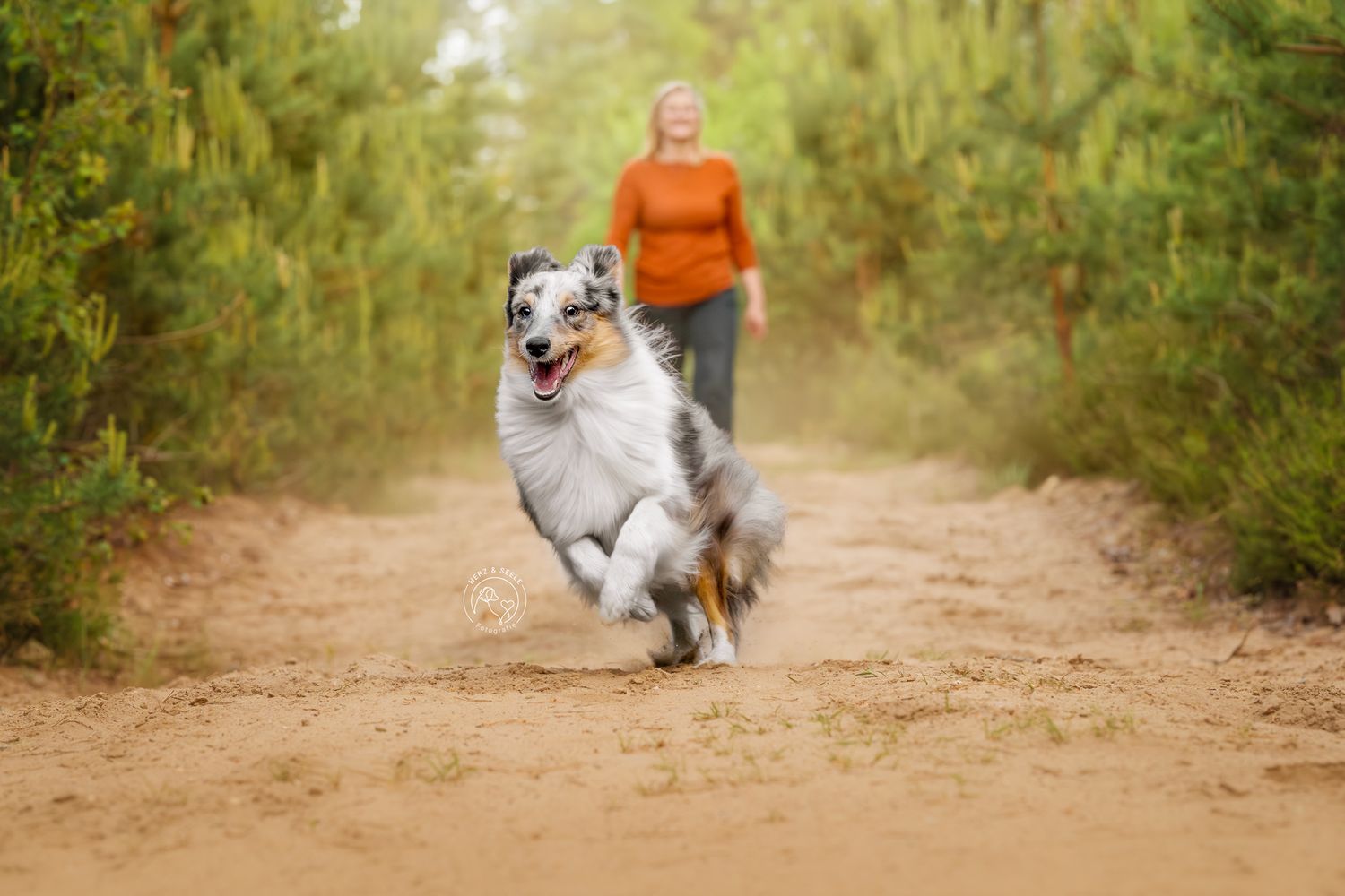 An Sheltie dog joyfully runs on a dirt path as a woman in orange follows.