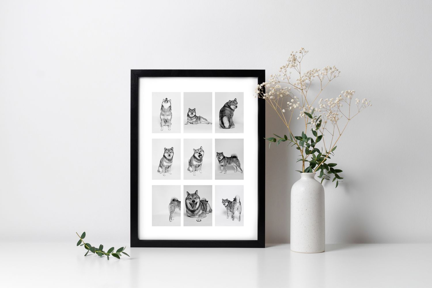 A framed black and white art print featuring nine  portraits of Shiba Inu dogs.