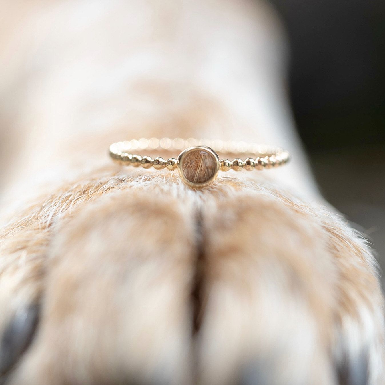 Delicate gold beaded ring with small round stone sitting on a dogs paw in soft focus.