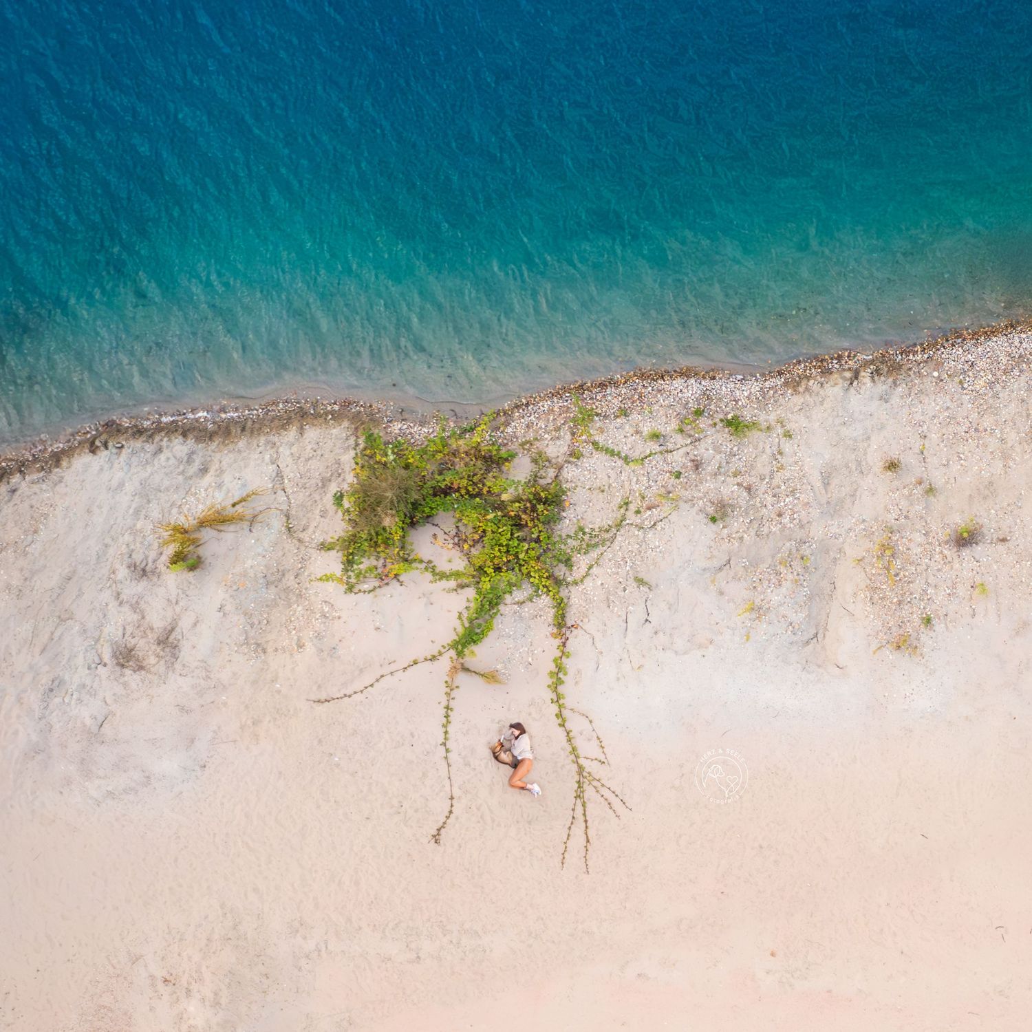 Ein Drohnenfoto von oben mit Blick auf eine Frau und ihren Hund, die am Strand liegen