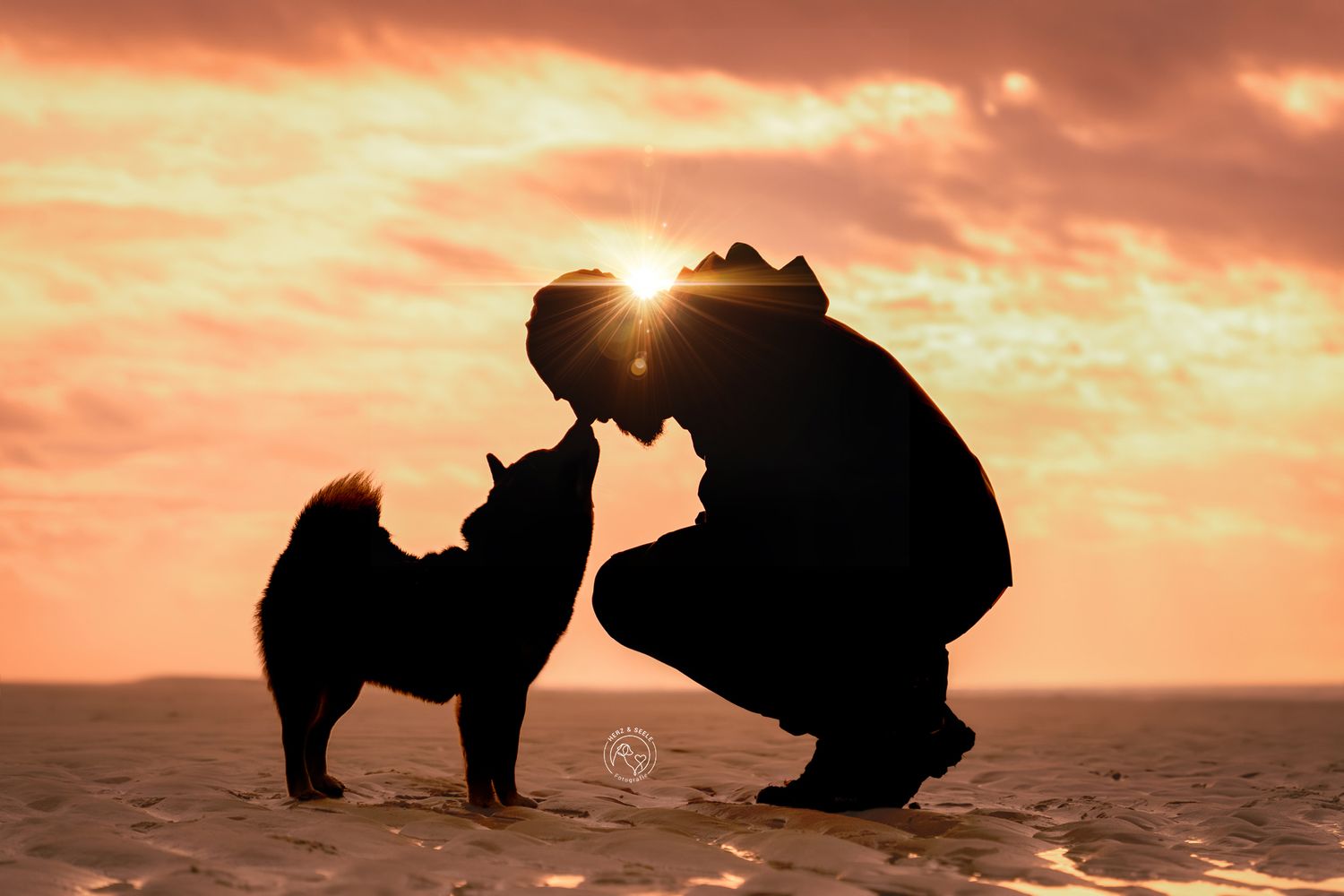 Silhouette of person and small dog sharing a tender moment at golden sunset on sandy beach.