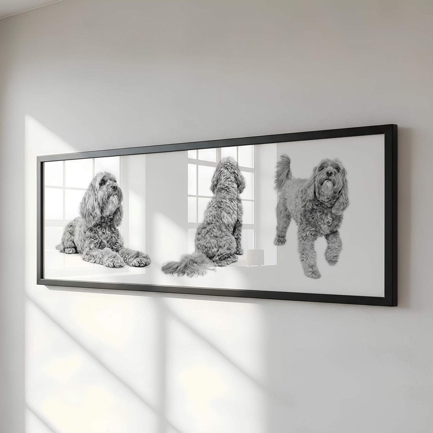 Framed black and white triptych art print of a fluffy coackapoo in three poses.