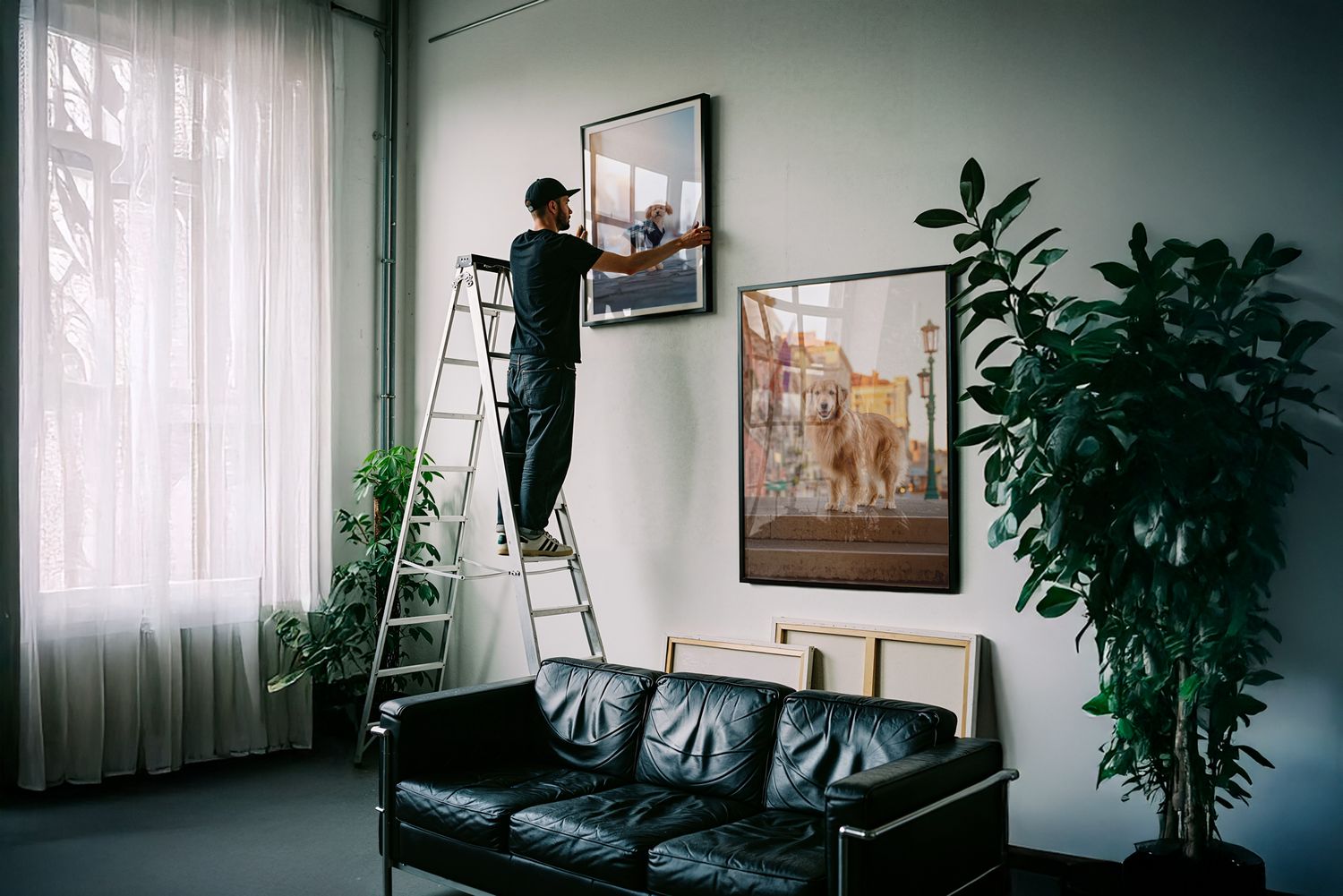 Wall Art von Hunden